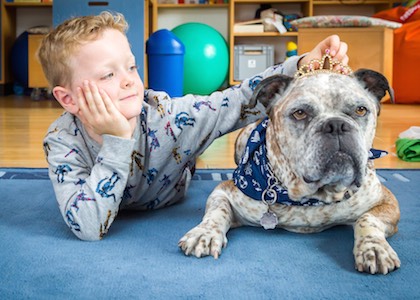 hundgestützte Therapie