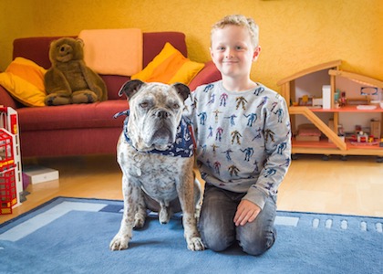 hundgestützte Therapie